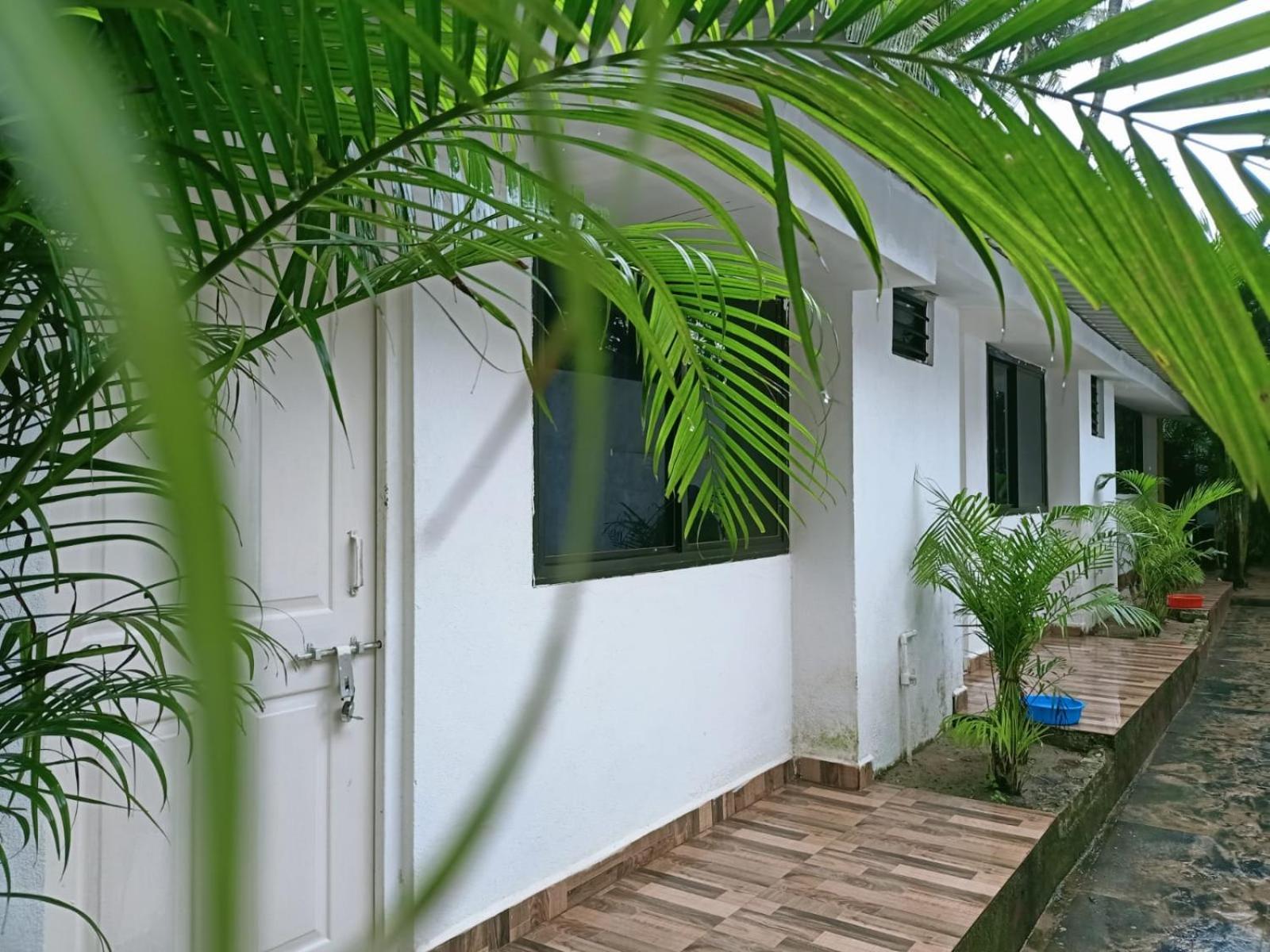 Royal Touch Beach Huts Bãi biển Bãi biển Palolem Ngoại thất bức ảnh